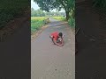 talkop sugar on the highway #shortsviral  #nature