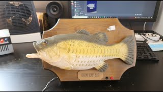 How To Fix A VERY Broken $5 Billy Bass / Singing Fish FULL TUTORIAL!!