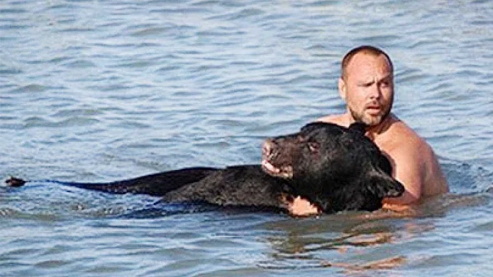 40 Moments of Animals That Asked People for Help !