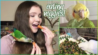 What to Do if Your Bird WON’T EAT VEGETABLES! | Getting Parrots to Eat Healthy