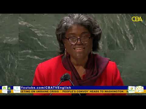 U.N. Security Council