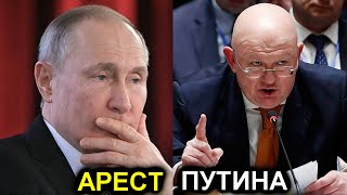 Небензя высказался по поводу ареста Путина