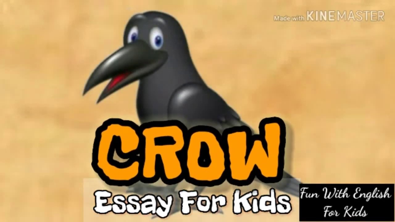 information about crow essay