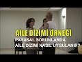 Aile Dizimi Örneği:  Para Sorunları ile İlgili Aile Dizimi Uygulaması Çözümü