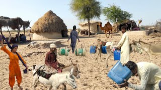 Water is Life | How To Survive Desert People Without Water When There is Lack of Water? Desert Life