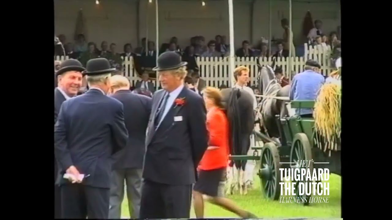 1994 NTD - Tweespan oogstwagen (Watinka en Frederiek met Jan Mittendorff)