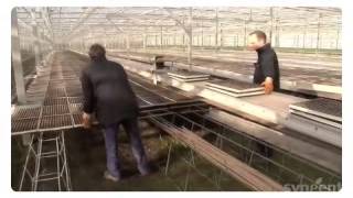 Episode #1 Brave New World