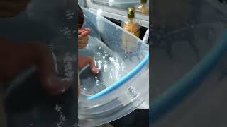 Gabriel Recém Nascido Tomando Banho2