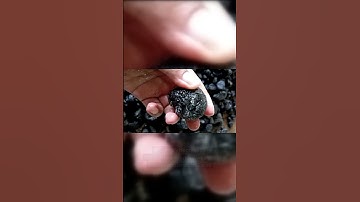 ☄️ Meteoroid, Meteor, or Meteorite? What’s the Difference? 🌍🔥 #space #spacejourney #meteor