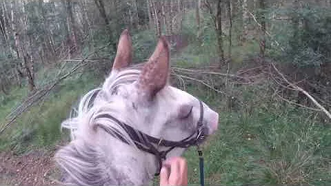 Extreme Trail Ride 2022   SD 480p