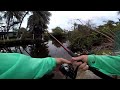 Bank fishing TARPON, Catching tarpon, Travel belize, Bank fishing Bellize