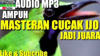 MASTERAN CUCAK IJO | AUDIO MP3 FULL 2 JAM | AMPUH JADIKAN CUCAK IJO JUARA || (2021)