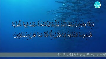 سورة الجاثية بصوت رعد الكردي من الاية 31 الى الاية 34