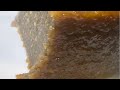 Authentic And Delicious Jamaican Sweet Potato Pudding Authentic And Delicious Jamaican Sweet Potato Pudding