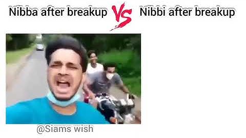 Nibba vs Nibbi after #breakup 😭😅 || #memes #viral #funny