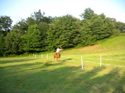 Horseback archery clinic with Lukas Novotny