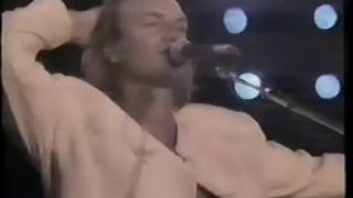 Video thumbnail of "Sting - Englishman in New York | Buenos Aires, Argentine - December 11th, 1987 | Subs SPA-ENG"