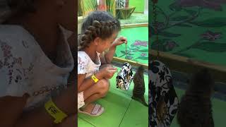 Милые животные 🫶 Кто знает как называется? Напишите в комментариях👌юмор #рекомендації#прикол#коты