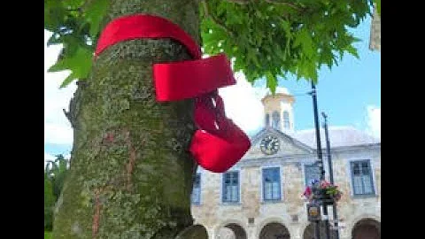 Greening Our Towns with Professor Gerald Mills