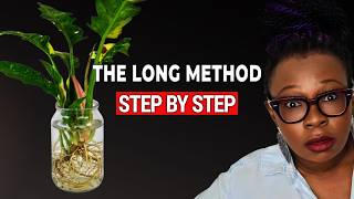 Stop Losing Plants to LECA: The Long Method Explained
