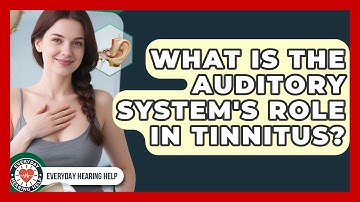 What Is The Auditory System
