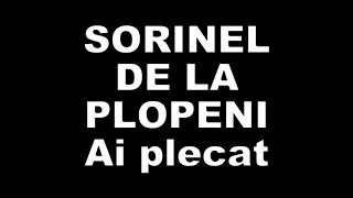 SORINEL DE LA PLOPENI   AI PLECAT