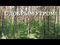 Доброе утро!