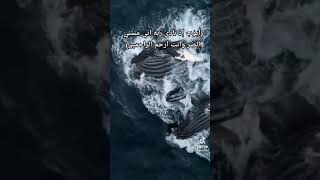 وايوب اذ نادي ربه الشيخ عبدالباسط عبدالصمد