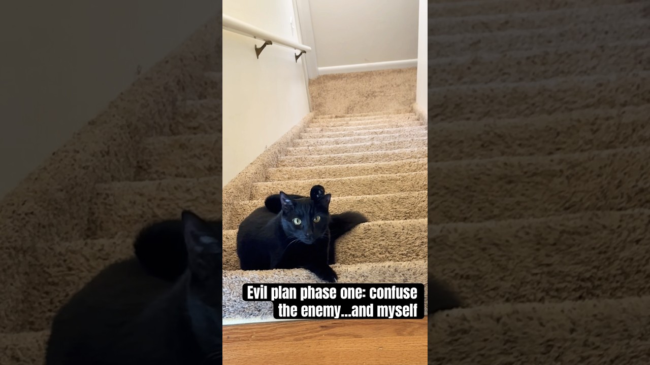 Stair Master? ❤️ Charlie 