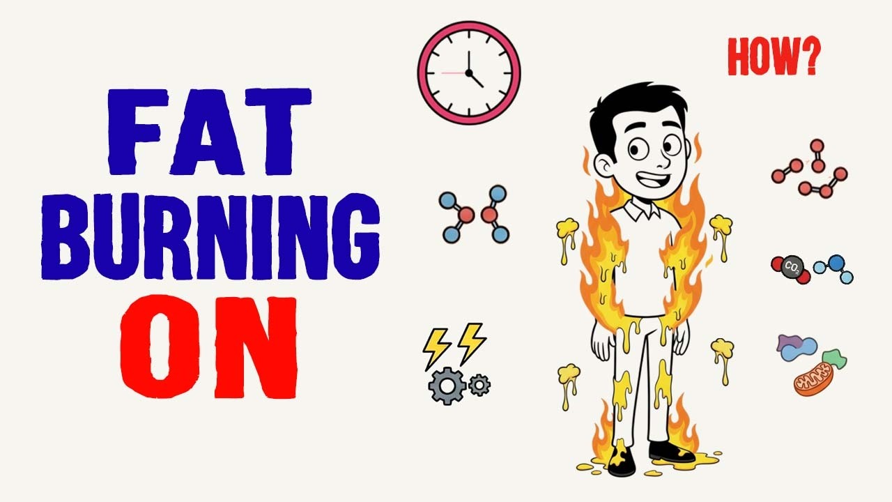 How Intermittent Fasting Turns ON Fat Burning (Fasting Benefits)
