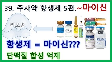 39. 주사약 항생제 5편 - 항생제 = 마이신? 박테리아의 단백질 합성을 억제하는 항생제