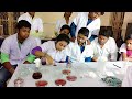 Behala Institute of Allied Health Sciences Others(1) Behala Institute of Allied Health Sciences Others(1)