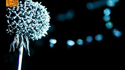 Dandelion - interactive allegorical artwork || Perpetual Useless