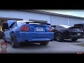High Horsepower Mustangs Play On The Street!