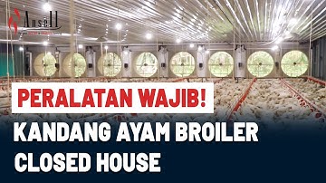 KANDANG AYAM BROILER CLOSED HOUSE - Peralatan Wajib yang Bikin Peternakan Lebih Efisien!
