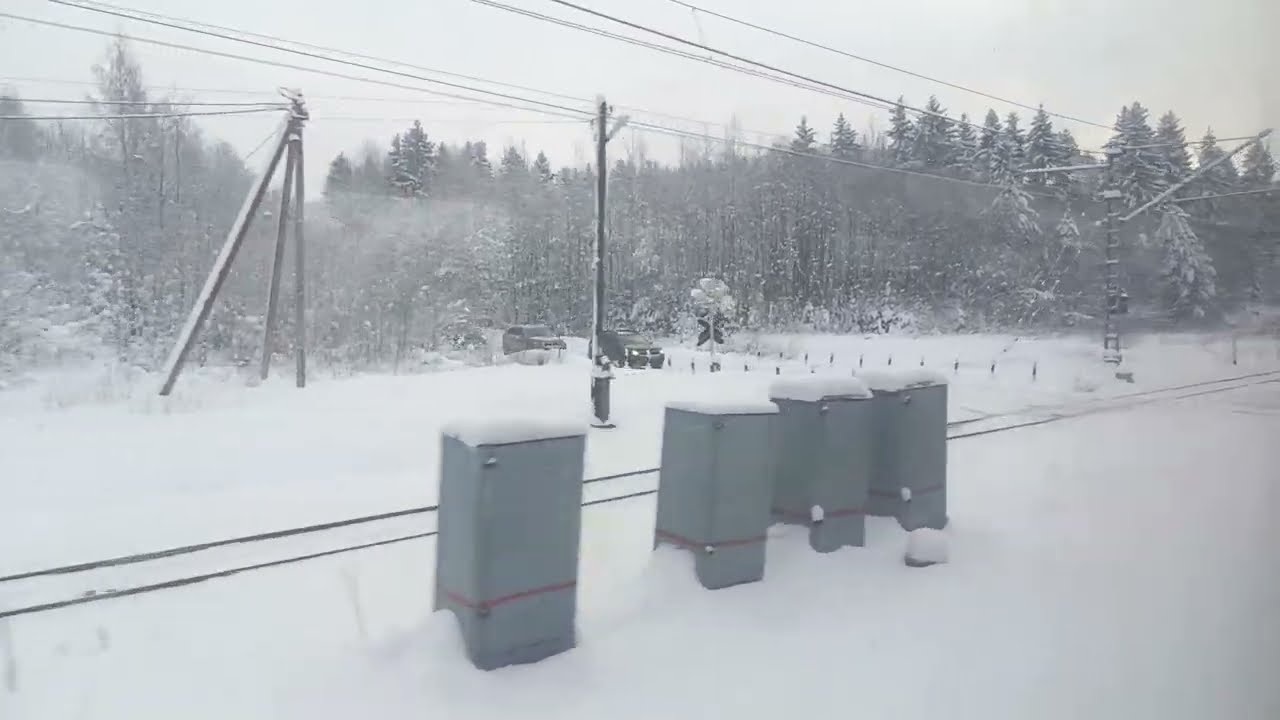 Осельки - Кавголово (Февраль 2025)