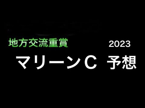 【競馬予想】 地方交流重賞 マリーンカップ 2023 予想