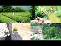 한달내내 쇼츠 만들기(with. 소니A7C2), 나의 여름 기록들🌿 | 하동,부산,남해 여행