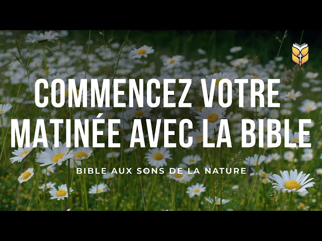 COMMENCEZ VOTRE MATINÉE AVEC LA BIBLE - Bible Aux Sons De La Nature | 🔴 En Direct class=