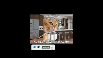 Thumbnail of Typowa mama 😂 #cats #śmieszne#greenscreen #cat #trend#memes#funny#memy #catmeme