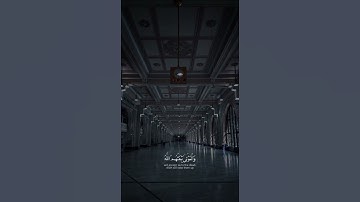 سورة الأنعام - آية ( 36 )