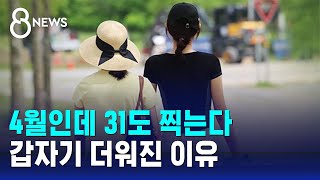 4월인데 31도 찍는다…갑자기 더워진 이유 / SBS 8뉴스