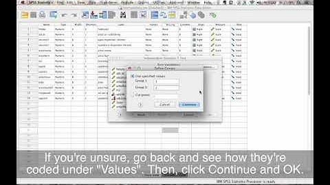 Bivariate analysis - Comparing means (two categories) in SPSS