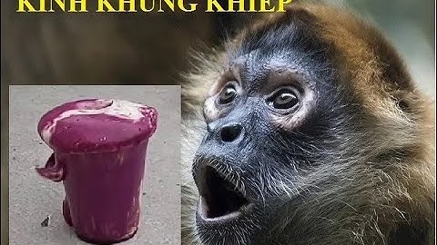 [THÍ NGHIỆM VUI] HƯỚNG DẪN TỰ LÀM THÍ NGHIỆM VỚI THUỐC TÍM VÀ OXI GIÀ