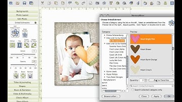 MemoryMixer Adding Multiple Embellishments