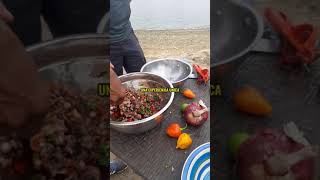 SANTUARIO NACIONAL DE MANGLARES DE TUMBES🏞 | CEVICHE DE CONCHAS NEGRAS