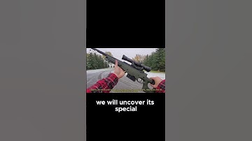 Uncover the Secrets of the AWM Sniper Rifle! #top5 #top5guns #gunsforhands #shorts