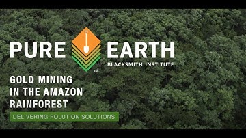 Gold Mining in the Amazon Rainforest: Delivering Pollution Solutions