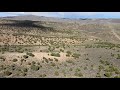 Lonely Drone