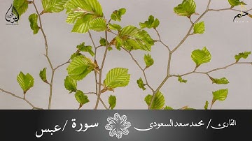 سورة عبس بصوت القارئ / محمد سعد السعودى